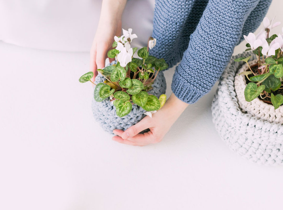 Garden Basics for Beginners